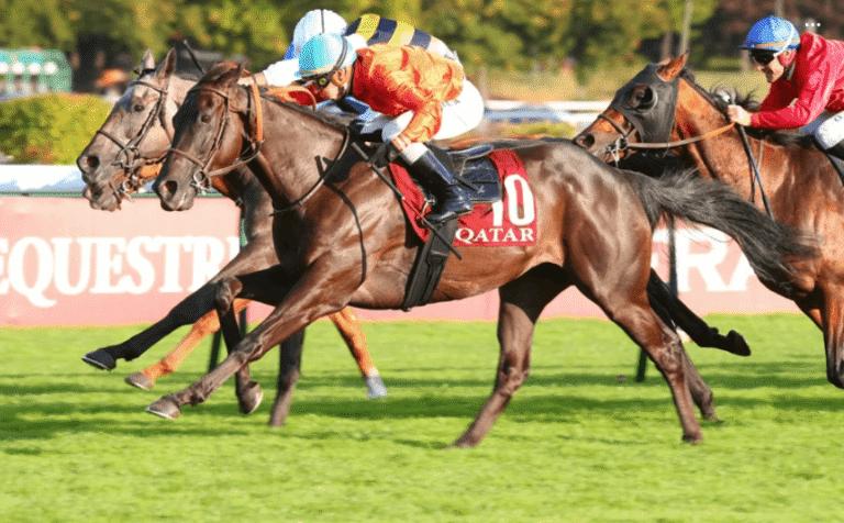 How to Analyze Horse Racing Trends