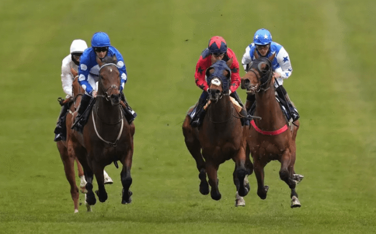 How to Get Involved in Horse Racing as an Investor