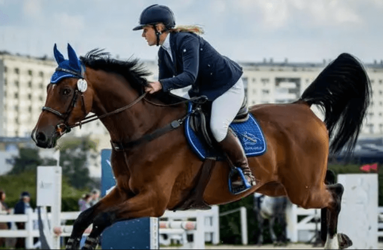 How to Get Started in Horse Racing as a Fan